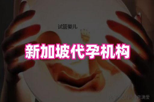 821孕网 2