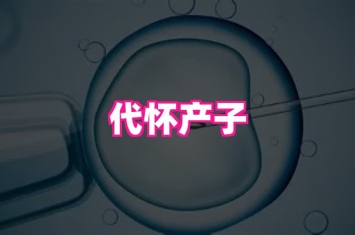 821孕网 4